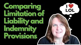 Comparing Limitation of Liability to Indemnity Provisions in Contracts