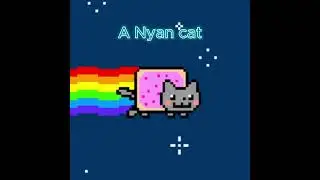 What is this
