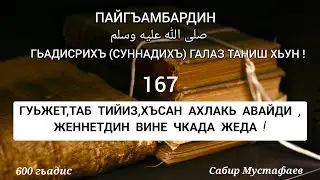 600/167 гьадис