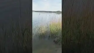 🇨🇿ČR Machovo jezero 2024 #mirai #czech #cz #lake #czechrepublic #travel #nature #vylet #praha