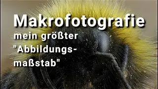 mein größter 