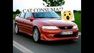 Opel Vectra B 2.5 V6 170CP - Fuel Consumption
