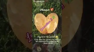 Love Nature | Nature's love : I found in my garden 😇 @PreetiKumari_Pkcreations