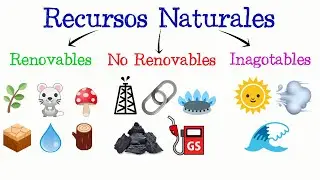 🌳Natural Resources: Renewable, Non-Renewable, and Inexhaustible🌞 [Easy and Fast] | Biology |