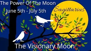 Sagittarius, This Leads You To A Powerful Win || Psychic Empath Tarot Reading