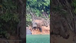Озеро Чео Лан в Тайланде в провинции Као Сок. 