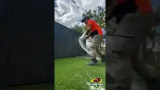 Artificial Grass TRANSFORMATION #shorts