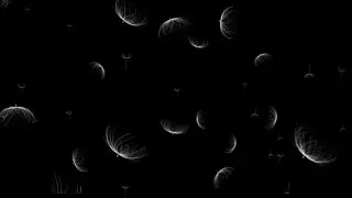 Free Flower Petals Overlay Motion Graphics