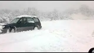 foresters in the snow