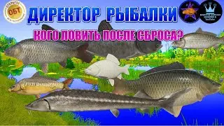 РУССКАЯ РЫБАЛКА 4(РР4)(RF4) - КОГО ЛОВИТЬ ПОСЛЕ СБРОСА? С LEONARDO R