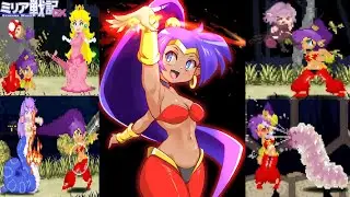 Echidna Wars DX Project Everdriven:  Shantae by Glubbly