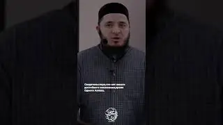 23 января 2024 г.