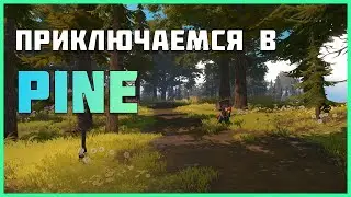 Мое приключение - PINE