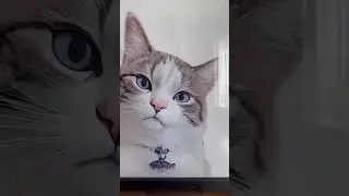 Momo's Custom Cat Portrait | MyPetsies©