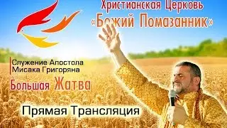 Прямая трансляция 