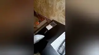 Отзыв Агромаркет (Відгук)