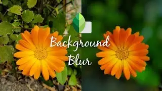 How to blur Background with snapseed। snapseed blur background। snapseed editing