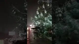 Шунакаям чиройли боласанми