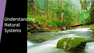 Chapter 2: Understanding Natural Systems