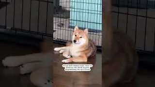 🤣 ЭДИСОН МАЙНКРАФТ ПОЁТ МАРТИ - СТОРИС ЭДИСОН МАЙНКРАФТ 