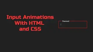 Input Animations with HTML and CSS 