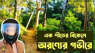 এক শীতের বিকেলে অরণ্যের গভীরে । An Adventure Trip to a National Forest of Bangladesh