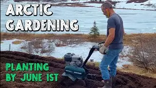 Expanding Our Garden & Building A Boardwalk | Alaska garden vlog