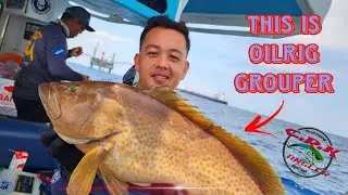 OIL RIG AKANKU REPEAT!!  #grouper #oilrig #fastjigging