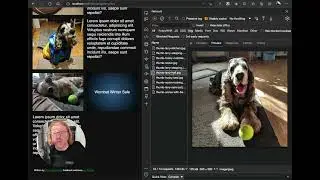 Using the browser network tool as a media browser