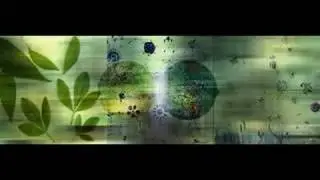 Abakus - Rainbow Warrior
