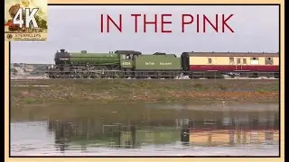 61306 Mayflower. Pretty Hard Work on the English Riviera Express 10&17 Aug24