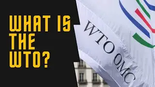 The World Trade Organization WTO and its ‘rules’