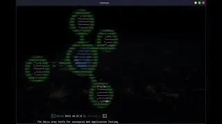 Jaeles - Web Application Scanner - BlackArch Linux #9