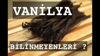 VANİLYA / BİLİNMEYENLERİ                                   #vanilya #bilinmeyenler #vanilyafaydaları