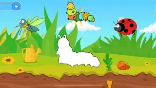 Изучаем насекомых