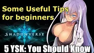 [Shadowverse] Useful Tips for Beginners