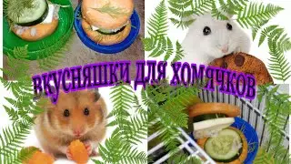 Вкусняшки для хомяков ♥️/ Тортик и Бергер для хомячка🍔