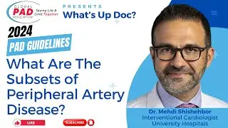 The Different Levels of Peripheral Artery Disease | Dr. Mehdi Shishehbor