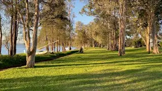 Golden Lakeside Walk