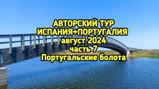 🇧🇫Прибрежные заповедники Северной Португалии