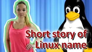 Short story of Linux name