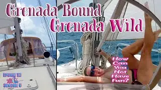 # 113 Grenada Bound - Grenada Wild - Island madness with a bit of B👀BIES