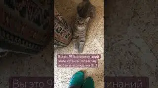 95 % воспоминаний