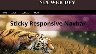 || Sticky Navigation Bar || Sticky navbar || Only CSS || NO JAVASCRIPT ||
