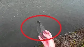 Pescatori INCIVILI