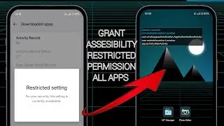 How to grant Assesibility restricted permissions || all apps