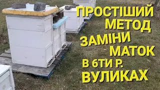 Самий надійний метод. Зимівля бджіл. 