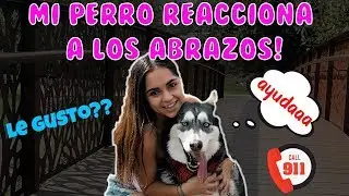 A los perros les gustan LOS ABRAZOS?🙊 (Mi perro REACCIONA) SALE MAL!