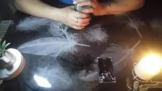 Она его заполучила!!!!! Счастлива????.(0226)