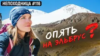 Я ЕДУ НА КАВКАЗ. ТРЕККИНГ В ПРИЭЛЬБРУСЬЕ. ОСЕННИЕ ГОРЫ. НЕПОХОДНИЦА